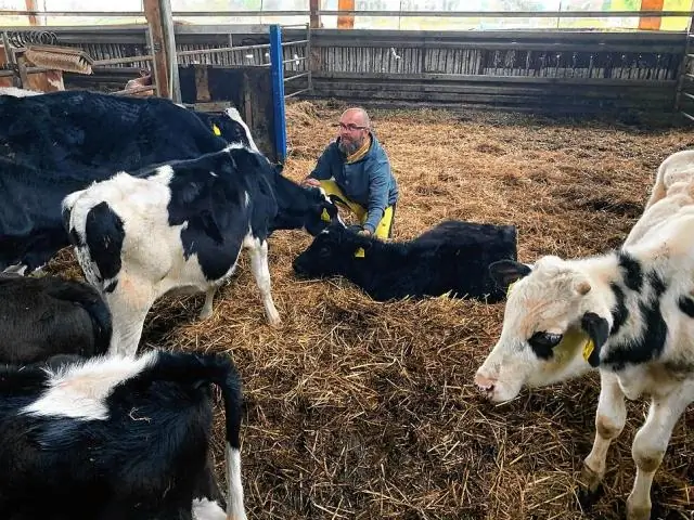 Hvordan fjerner du en bakluke fra en lastebil?