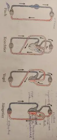 Làm thế nào để bạn phân biệt sự khác biệt giữa các buồng phanh?