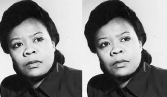 Wanneer het Marie Van Brittan Brown uitgevind?