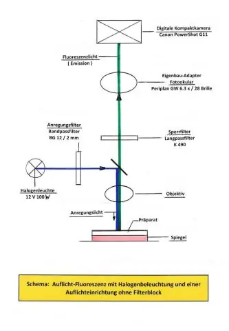 Qu'est-ce qui est le plus économe en énergie LED ou fluorescent?