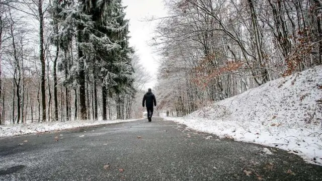 Kaj je v zimski tekočini za pranje vetrobranskega stekla?