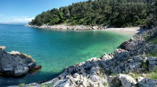 Com torno alguna cosa a la badia?