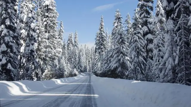 Արդյո՞ք Blizzaks- ը լավ ձմեռային անվադողեր են: