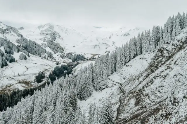 Որքա՞ն ձյուն կա Donner Pass-ում: